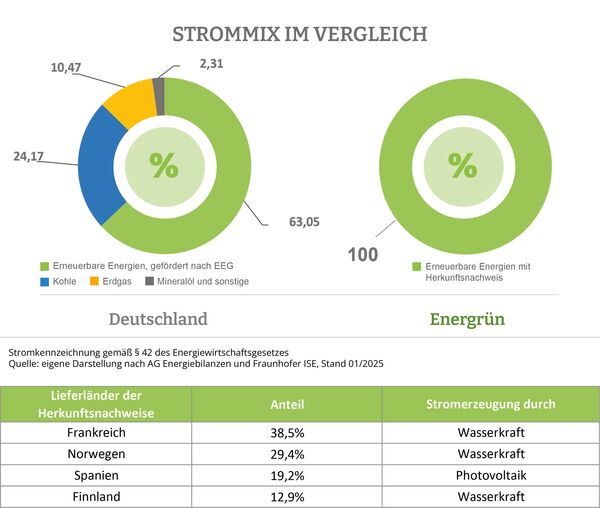 Deutscher Strommix 2024: 63,05% erneuerbare Energien, 24,17% Kohle, 10,47% Erdgas, 2,31% Mineralöl und sonstige, Energrün Strommix: 100% Erneuerbare Energien mit Herkunftsnachweis