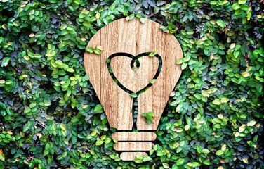 Holzglühbirne auf Wiese